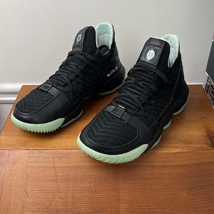 Nike Lebron XVI SB size 14. NEW IN BOX  CD 2451 001